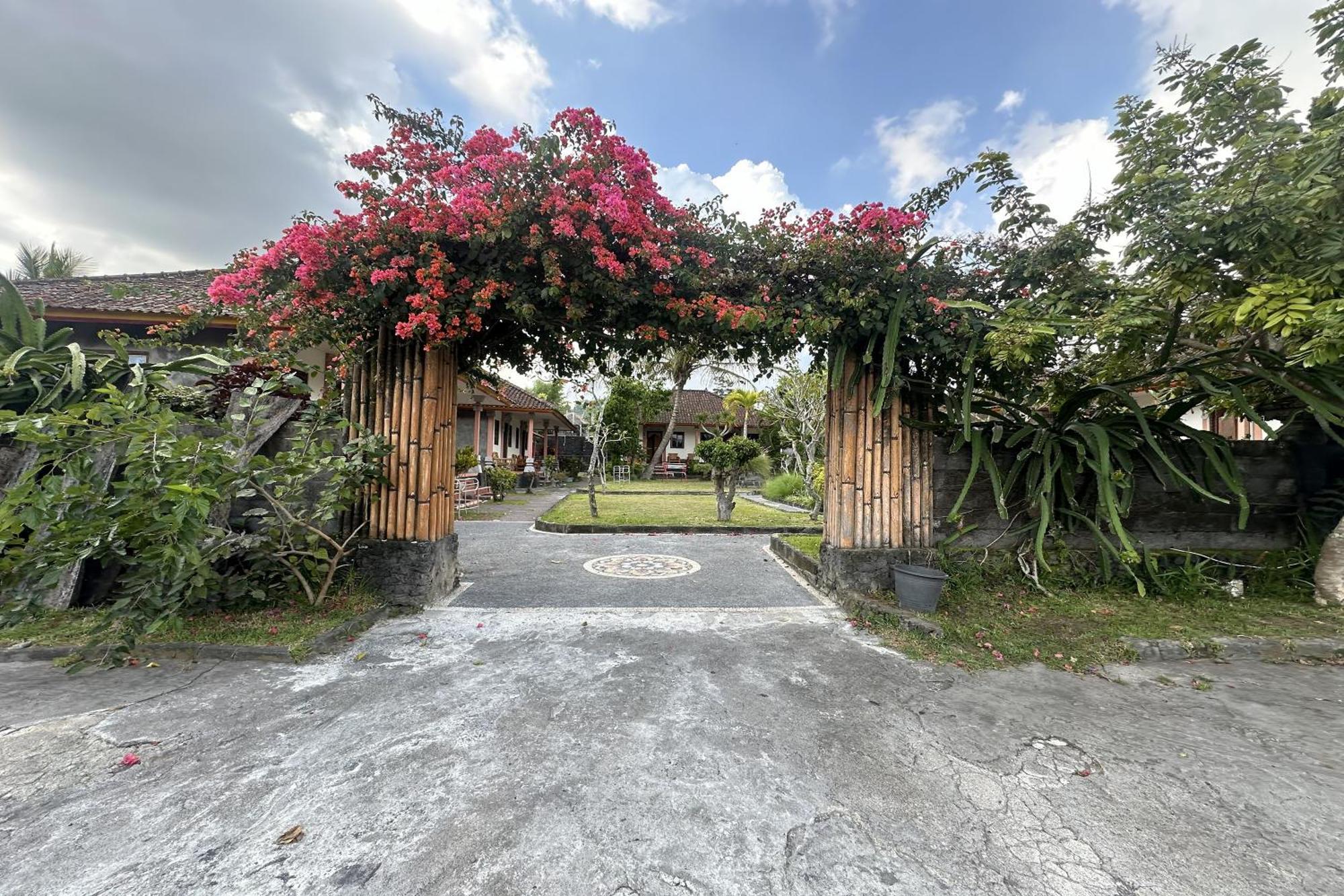 Arlina'S Hotel Kintamani Exteriér fotografie